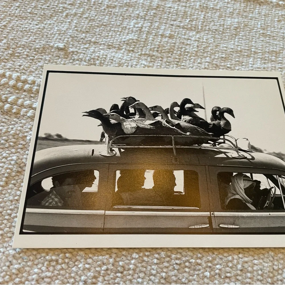 Vintage Black and White Photo Collection ~ Set of 7